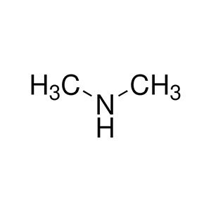 Molecular Structure of Dimethylamine