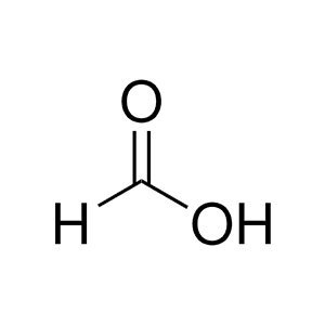 Molecular Structure of Formic Acid