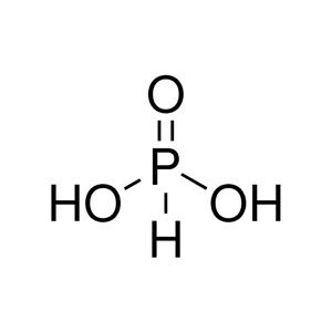 Molecular Structure of Phosphorous Acid