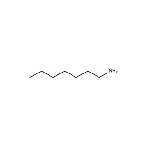 Molecular Structure of Hydrophobic
