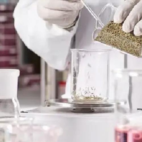 Pharmaceutical Intermediate Supply: Quality, Documentation and Packaging