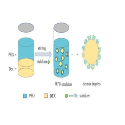 Diamino PEG Linkers for Polymer Modification