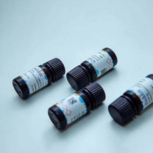 Amino PEG Derivatives for Surface Modification
