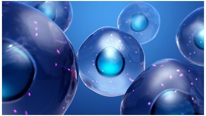 the-role-of-dmso-in-cell-cryopreservation.jpg